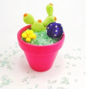 Bohemian Decor - Desk Accessories - Gifts For Mom - Mothers Day Gift - Succulent